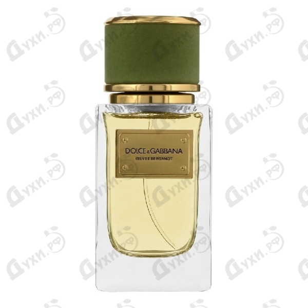 dolce gabbana bergamot